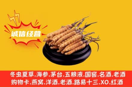唐山市回收冬虫夏草